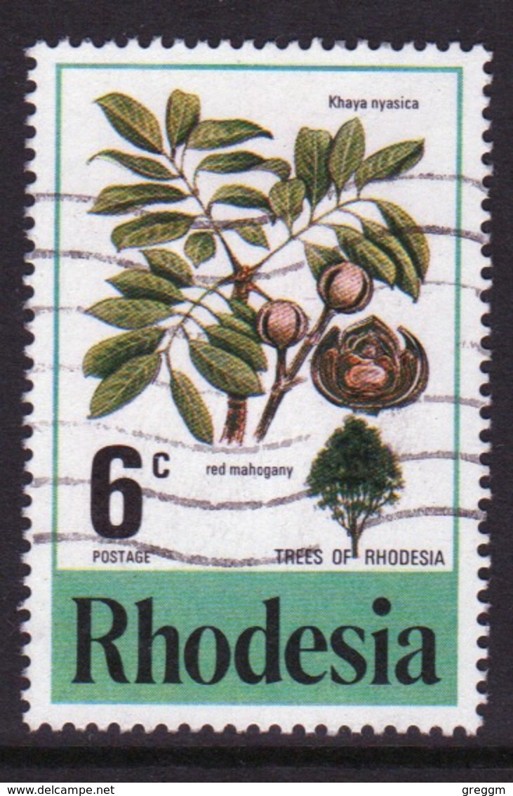 Rhodesia 1976 Single 6c Stamp From The Trees Of Rhodesia Set In Fine Used. - Rodesia (1964-1980)