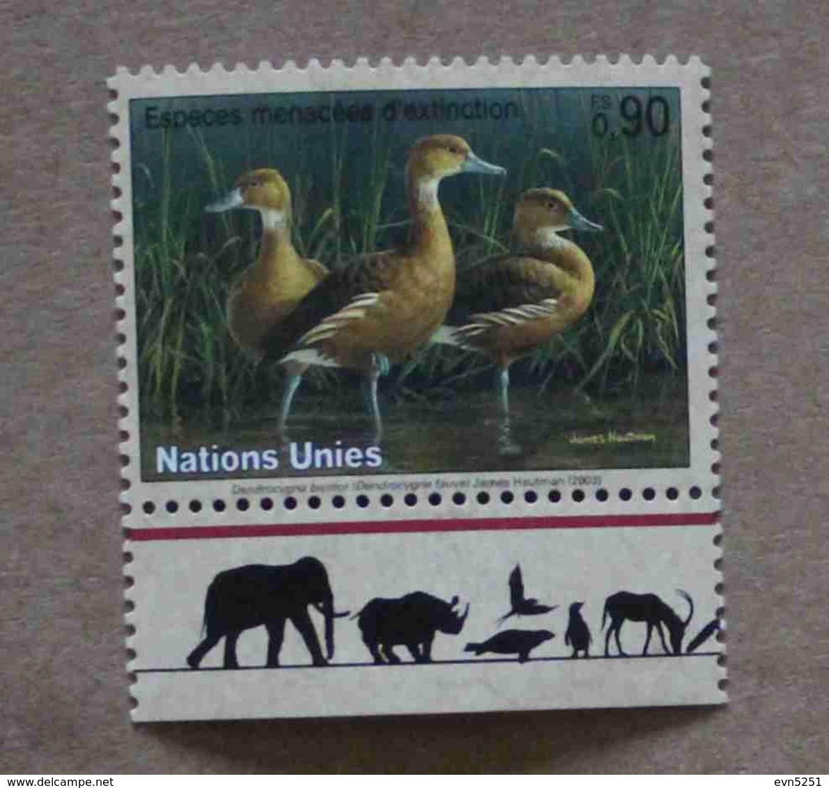 Ge03-01 : Nations-Unies (Genève) / Protection De La Nature - Dendrocygne Fauve - Unused Stamps