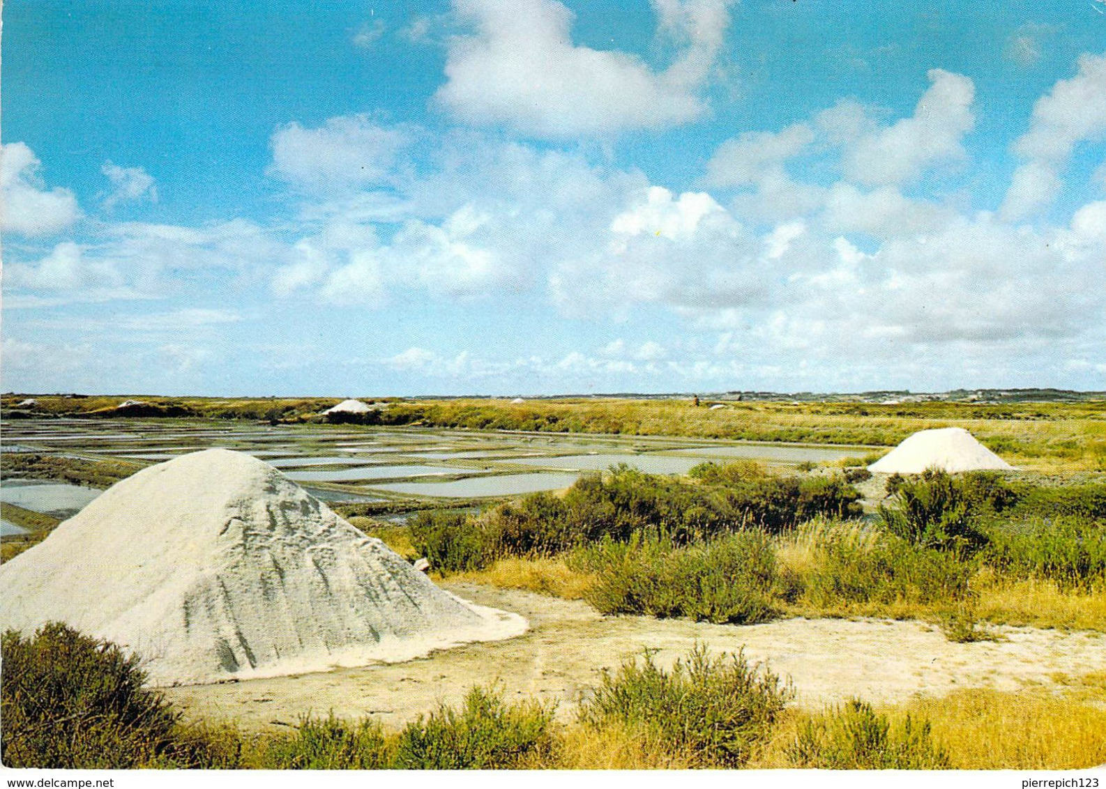 44 - Batz Sur Mer - Un Aspect Des Marais Salants - Saline Et Mulons De Sel - Batz-sur-Mer (Bourg De B.)