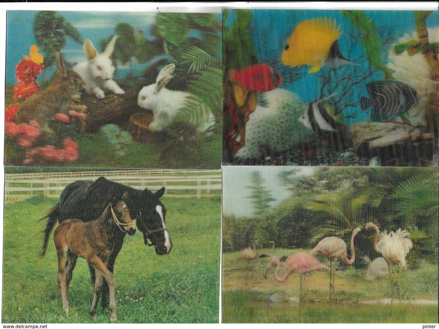 Lot De 50 Cartes Postales En Relief - 5 - 99 Postcards