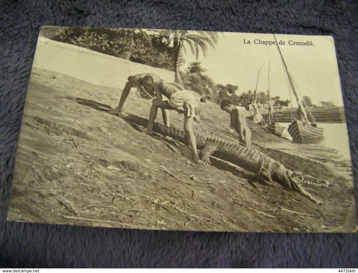 CPA - Afrique - Egypte - Chasse Chappe Au Crocodile - 1920 - SUP (DO 28) - Autres & Non Classés