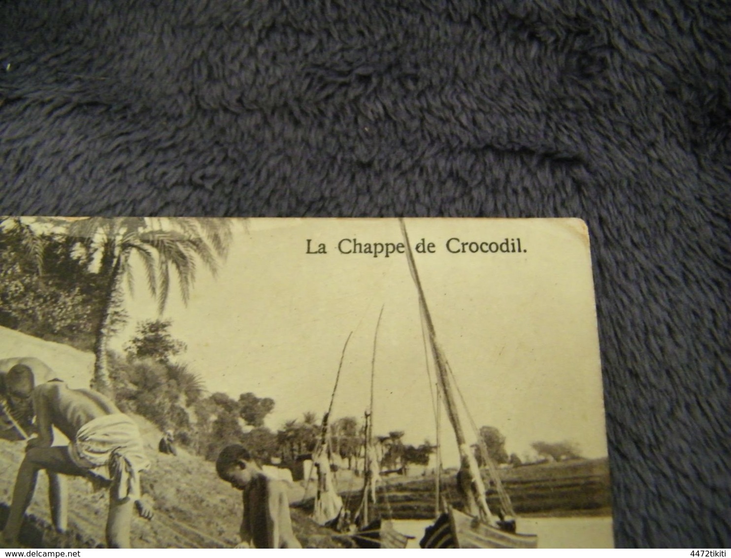 CPA - Afrique - Egypte - Chasse Chappe Au Crocodile - 1920 - SUP (DO 28) - Autres & Non Classés