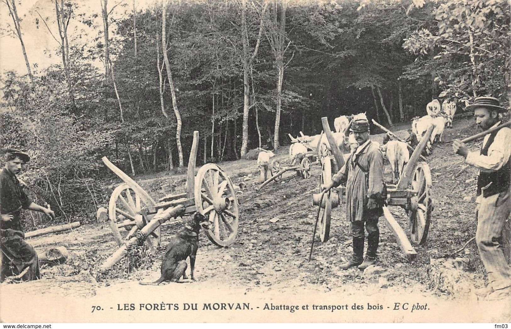 Les Forêts Du Morvan Abattage Et Transport Des Bois Bûcheron Garde Forestier ? 70 EC Caïus - Andere & Zonder Classificatie