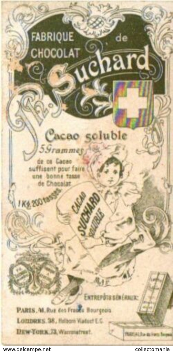 6 chromo litho cards Suisse chocolate Switserland SUCHARD set64B c1898 insects Beatles May-Bug Melalontha vulgaris