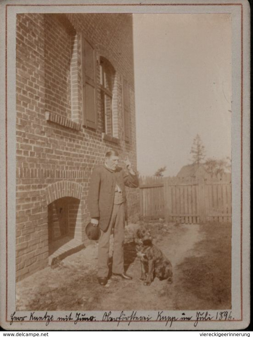 ! Altes Foto Auf Hartpappe, Photo, Oberförsterei Kupp In Oberschlesien, Hund, Schlesien, 1896, Format 9 X 12 Cm - Schlesien