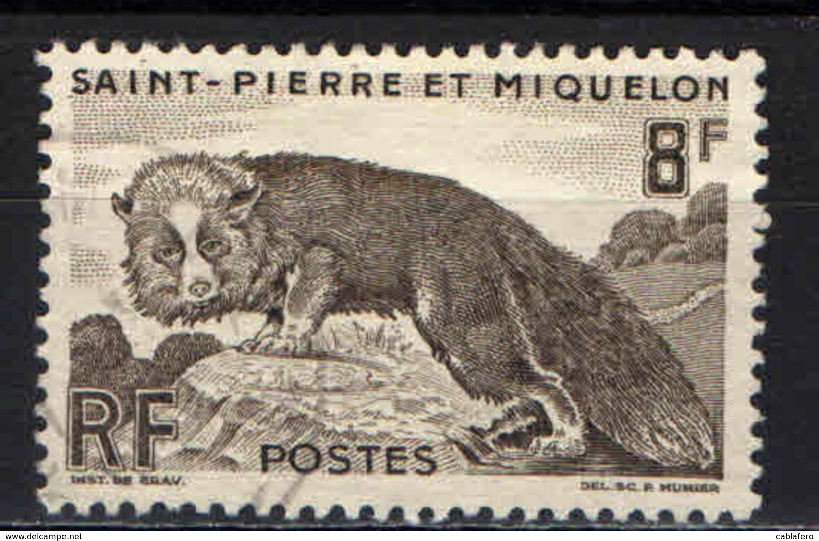 ST. PIERRE & MIQUELON - 1952 - VOLPE ARGENTATA - USATO - Gebruikt