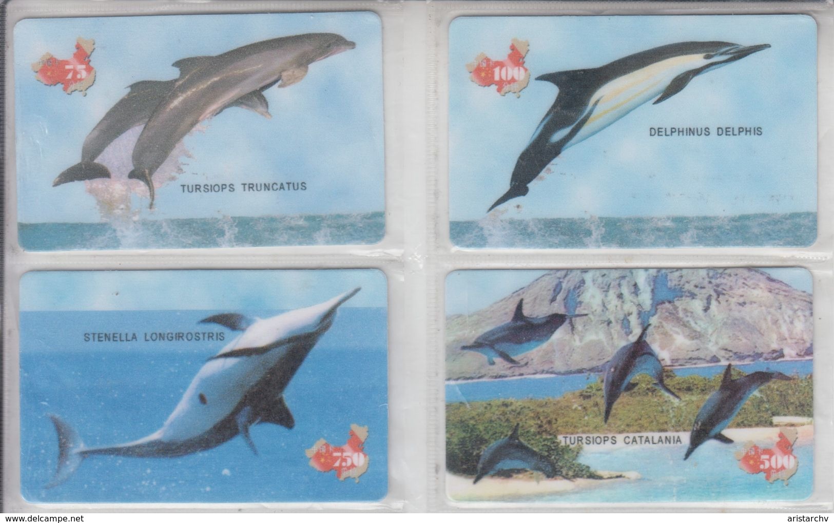 CHINA DOLPHIN SET OF 4 CARDS - Dolfijnen