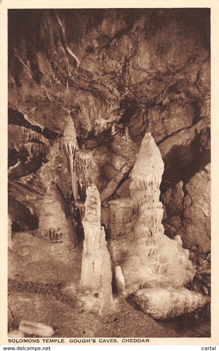 CHEDDAR - Solomons Temple,  Gough's Caves. - Cheddar