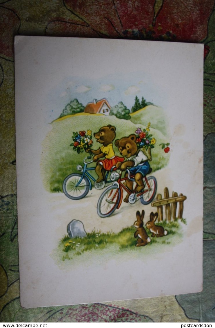 Baumgarten - Bicycle - TEDDY BEAR  , OLD DDR POSTCARD - Baumgarten, F.