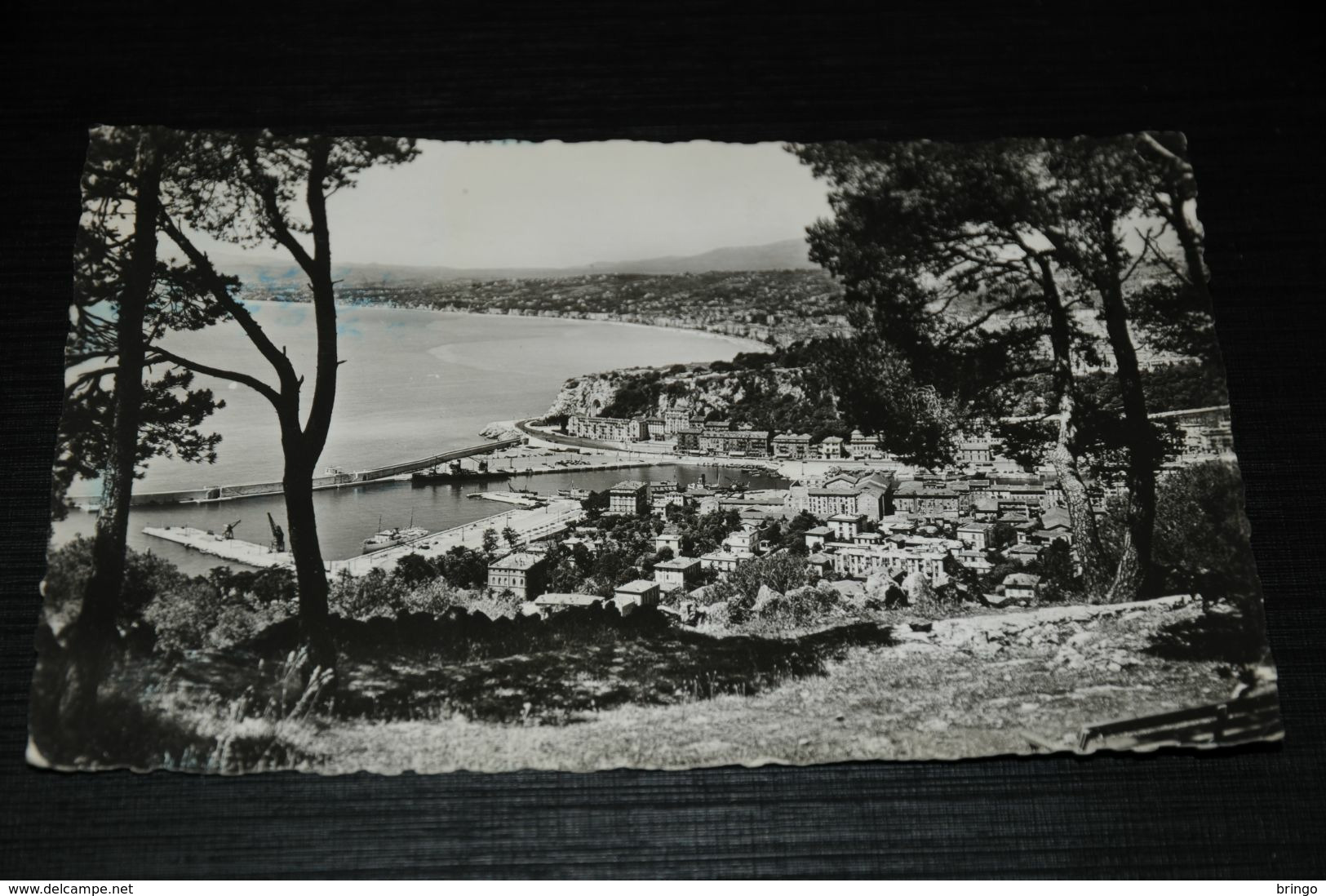 17674-          NICE, VUE GENERALE - 1954 - Panoramic Views