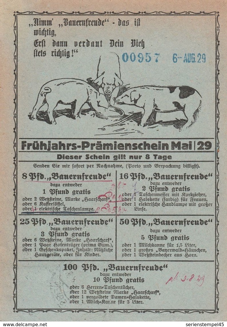 Deutsches Reich Karte Mit Tagesstempel Neibsheim 1929 Amt Bretten Bretten Lk Karlsruhe Mit Werbung Und Zeichnung - Briefe U. Dokumente