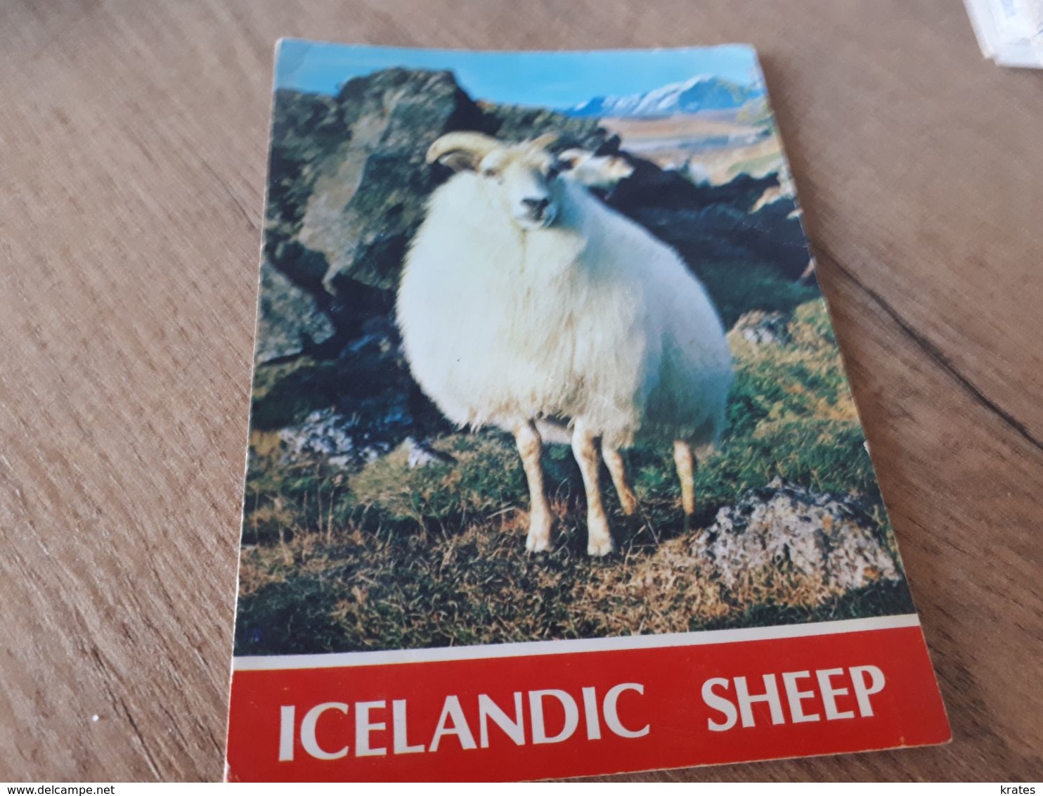 Postcard - Iceland     (V 34852) - Islandia