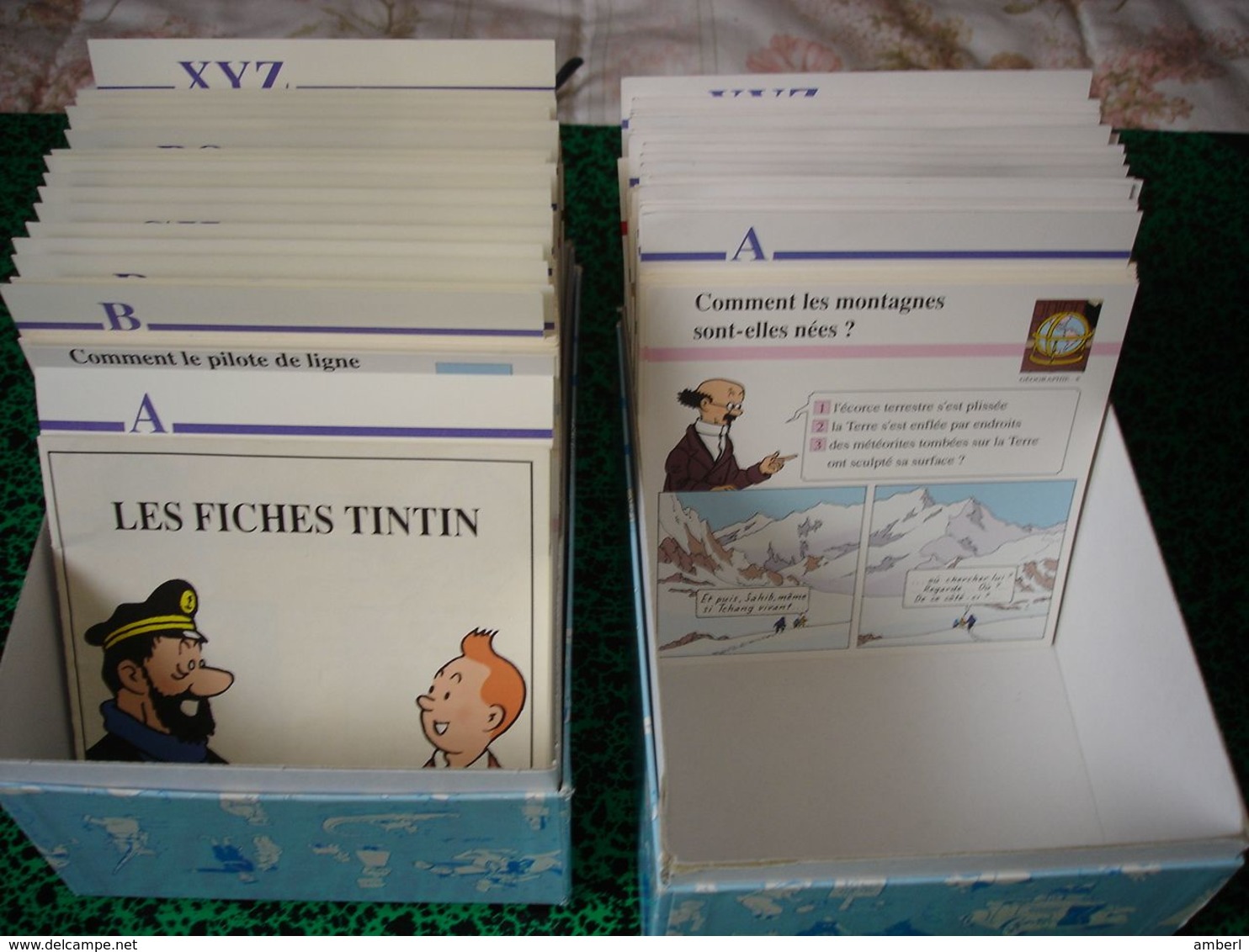 Kuifje TinTin " Les Fiches TinTin " Collection De 207 Fiches Differentes Plus 201 Doubles - Altri & Non Classificati