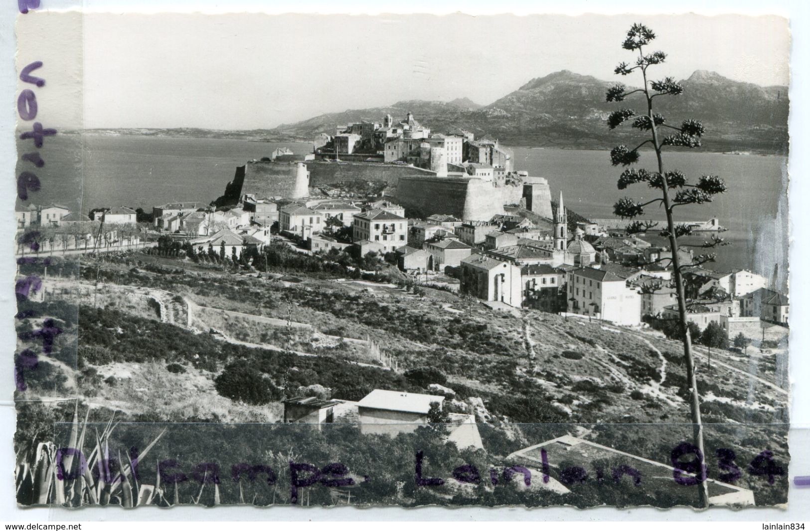 - 467 - CALVI - ( Corse ), Haute Ville, Cliché Rare, Non écrite, Petit Format, TTBE, Scans. - Calvi