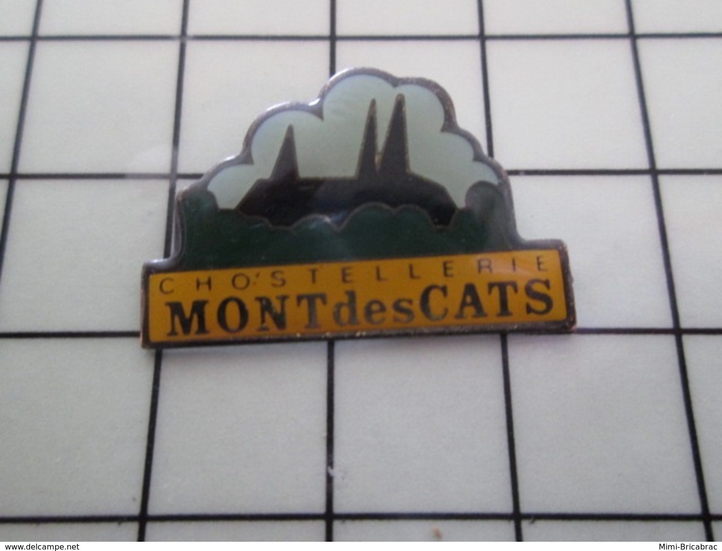 1820 Pin's Pins / Beau Et Rare / THEME : MARQUES / CHOSTELLERIE (???) MONT DES CATS - Marques