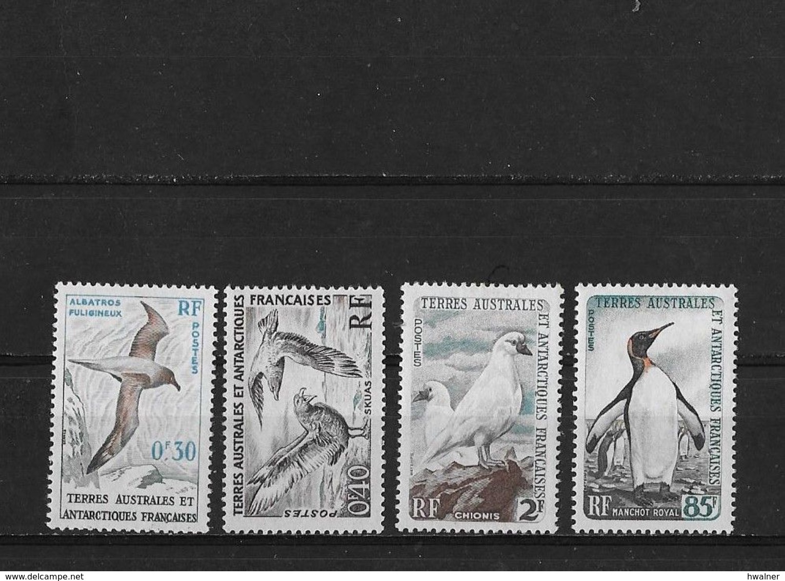 TAAF Yv? 12 13 13A Et 14 Neufs (sans Charnières) - Unused Stamps