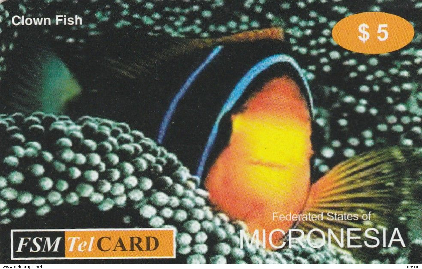 Micronesia, FM-FSM-TEL-0019, Clown Fish, 2 Scans.    FSM TelCARD - 05th Edition - Micronesië