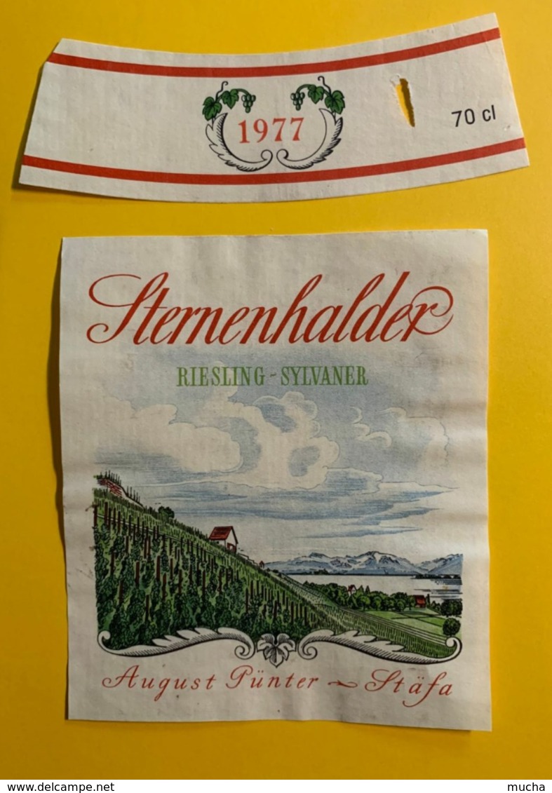 15496 - Sternenhalder Riesling-Sylvaner 1977 August Pünter Stäfa - Trachten