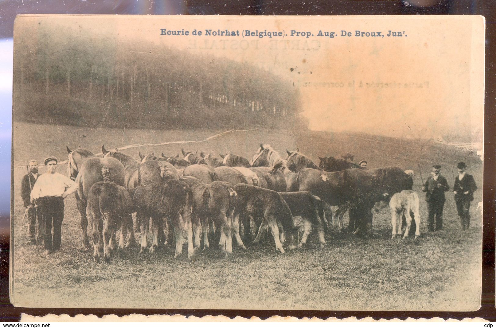 Cpa Noirhat  1910   Chevaux - Genappe