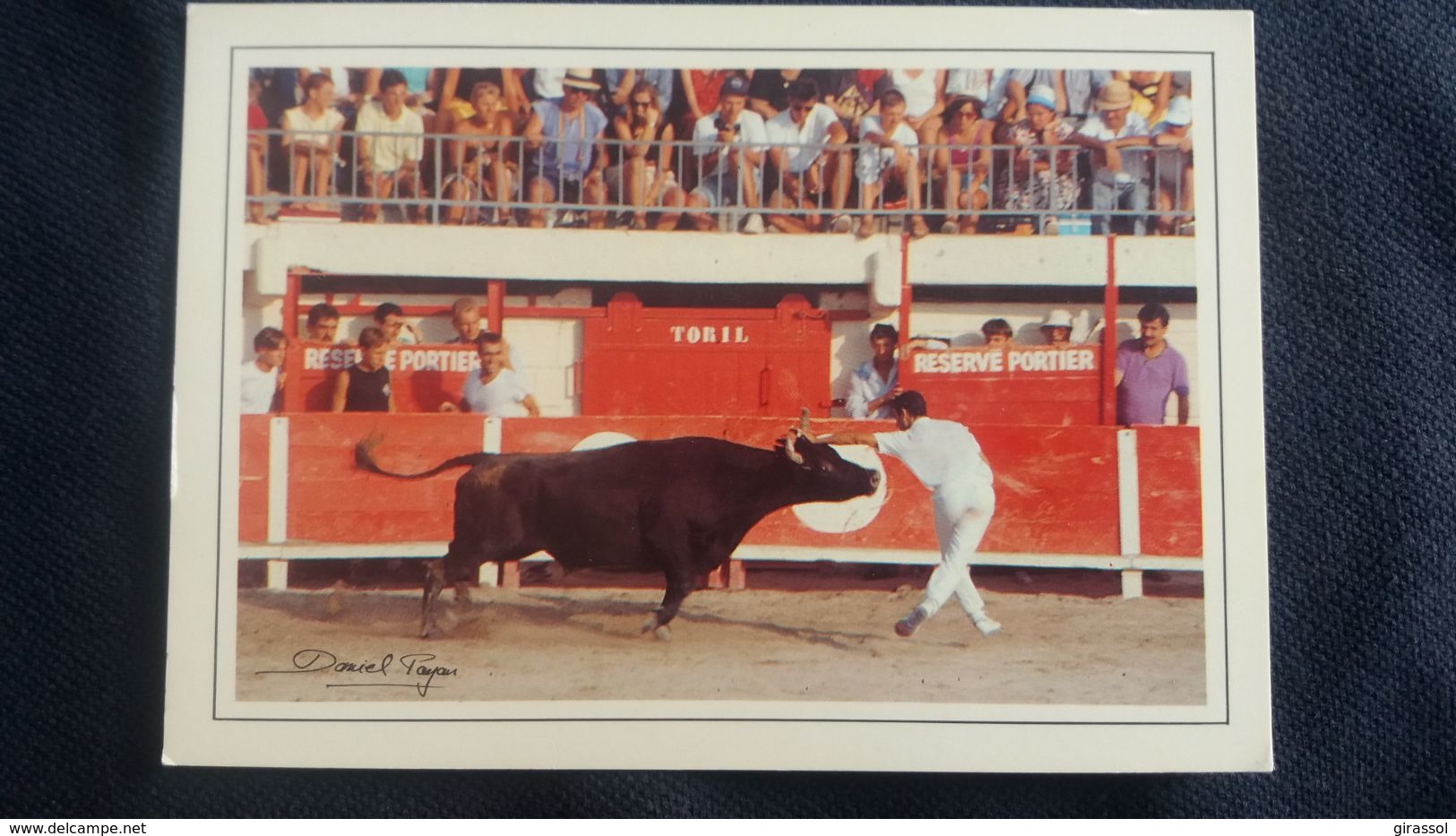 CPM ART ET NATURE 40 COURSE CAMARGUAISE RAZE DE BOURMEL MORADE DANS LES ARENES PHOTO PAYAN ED DU SOLEIL TAUREAU - Tauri