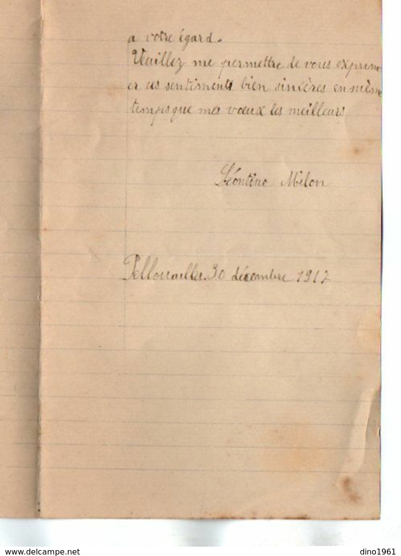 VP17.242 - 1917 - Lettre Illustrée Double Page Avec Découpi Fleurs - Melle Léontine MILON à PELLOUAILLES - Flowers