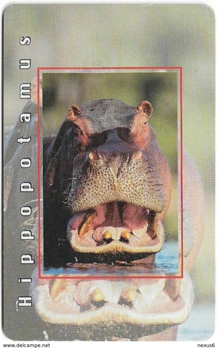 S. Africa - MTN - African Animals - Hippopotamus, R15, Solaic, Cn. Long, 1999, 100.000ex, Used - Südafrika