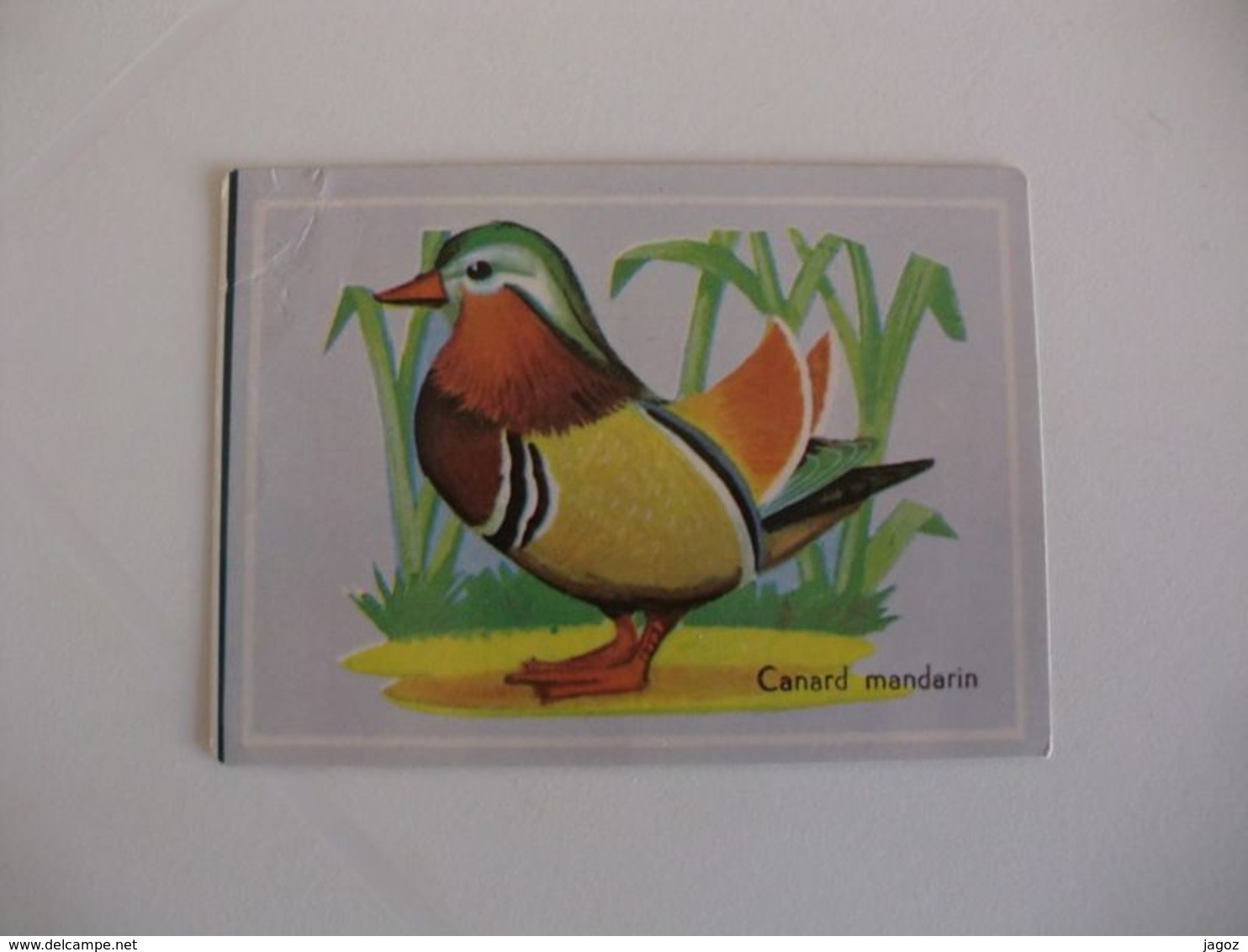 Bird Canard Mandarin Portugal Portuguese Pocket Calendar 1987 - Formato Piccolo : 1981-90