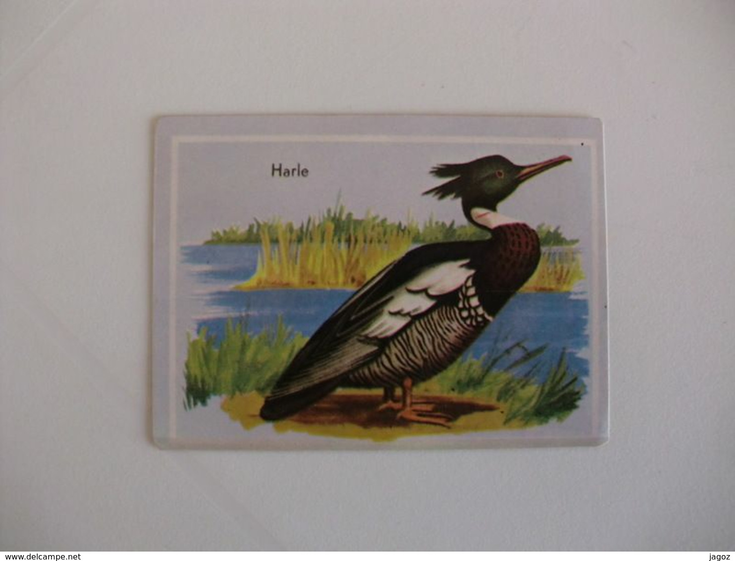 Bird Harle Portugal Portuguese Pocket Calendar 1987 - Formato Piccolo : 1981-90