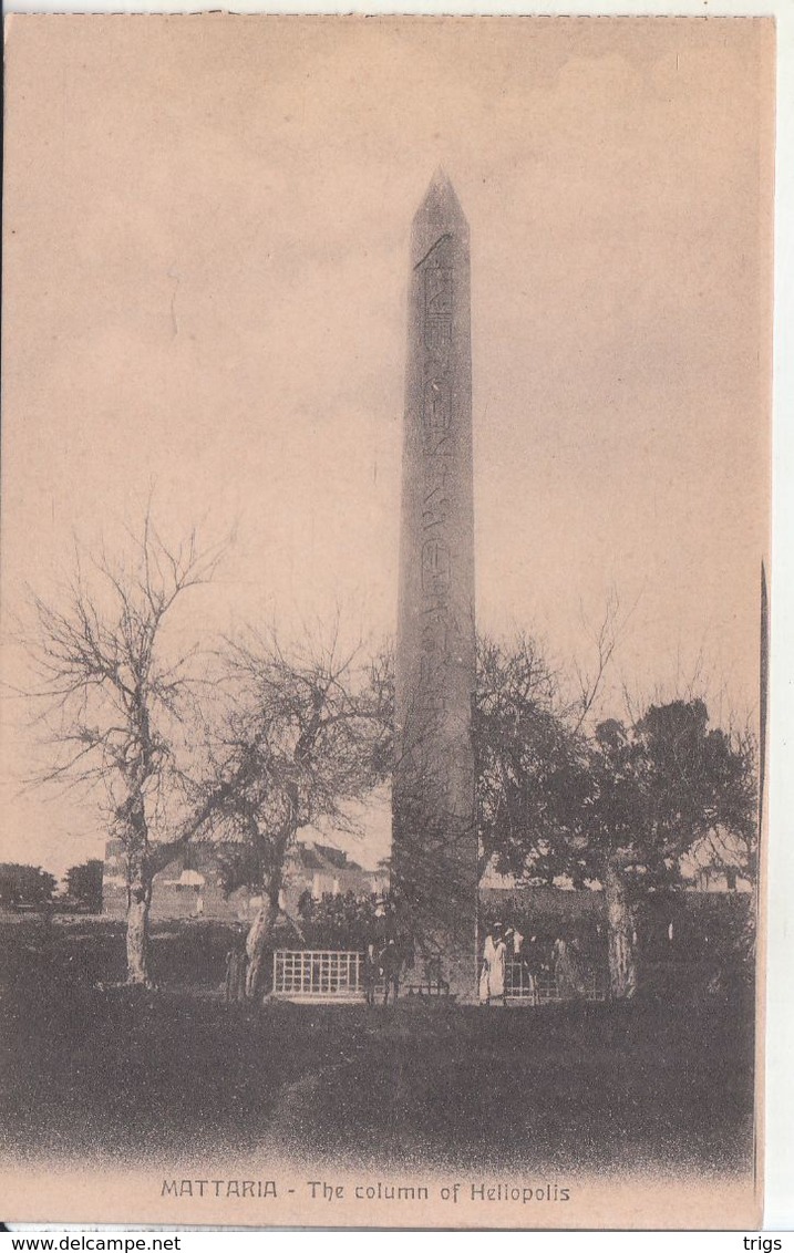 Mattaria - The Column Of Heliopolis - El Matareya