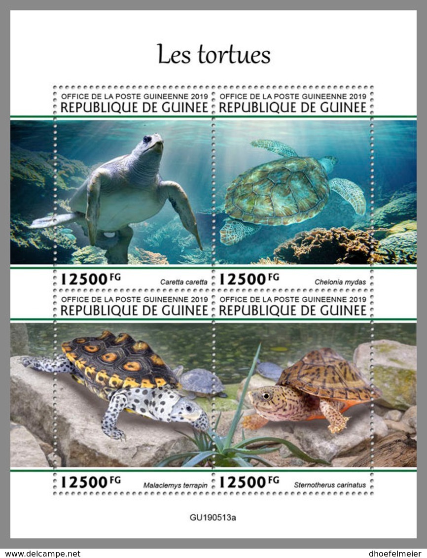 GUINEA REP. 2019 MNH Turtles Schildkröten Tortues M/S - OFFICIAL ISSUE - DH2006 - Schildkröten