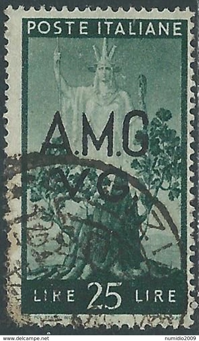 1945-47 TRIESTE AMG VG USATO DEMOCRATICA 25 LIRE - RA14-10 - Afgestempeld