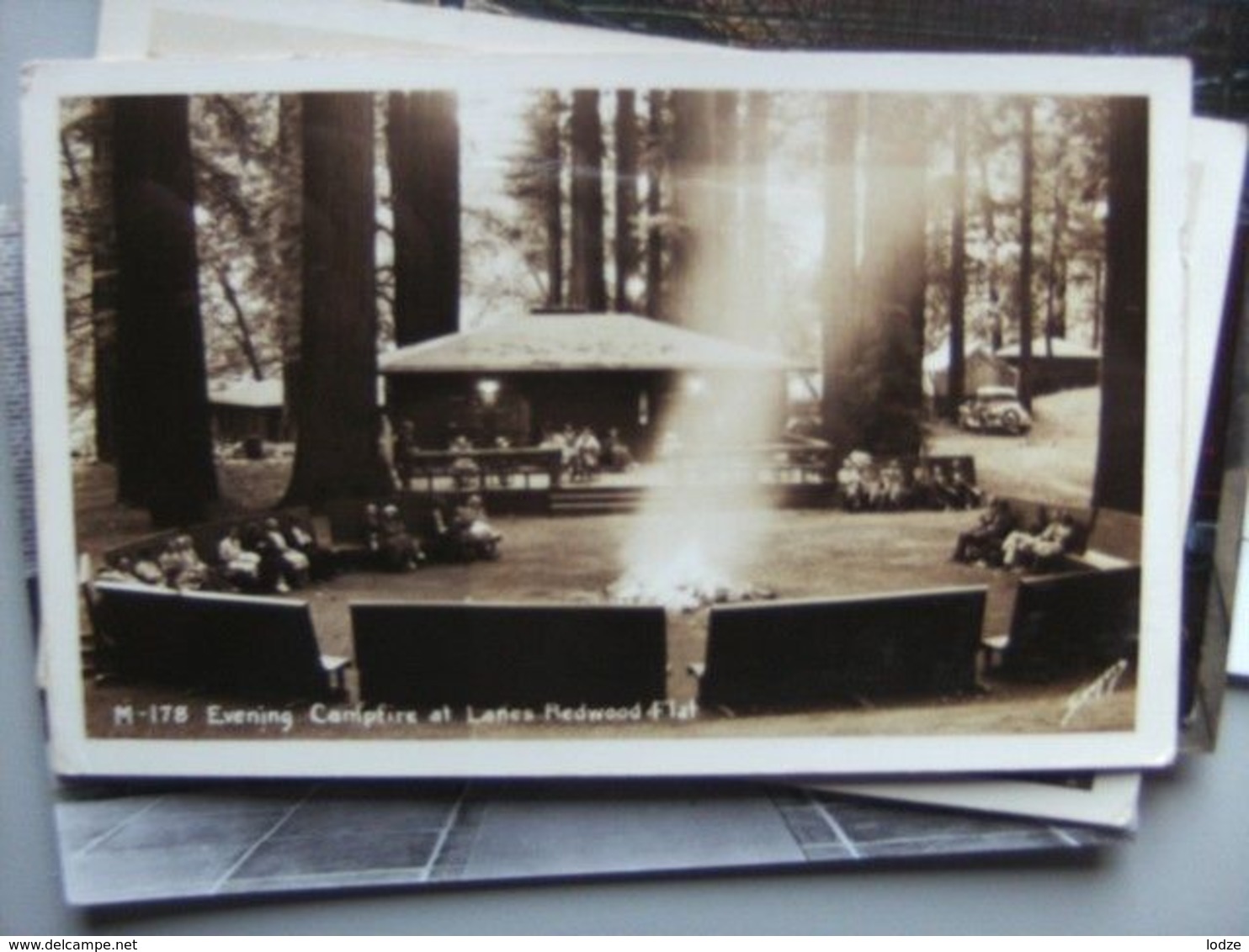 America USA CA Campfire At Lanes Redwood Flat Photo Card - Autres & Non Classés