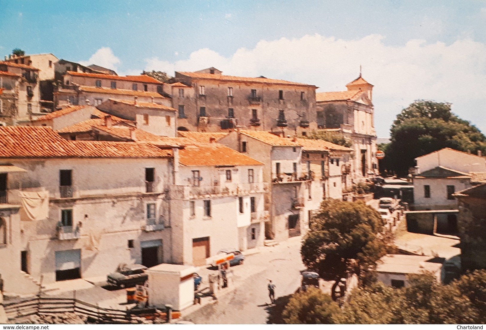 Cartolina - Bellezze Di Calabria - Serrastretta - Via Municipio - 1960 Ca. - Catanzaro