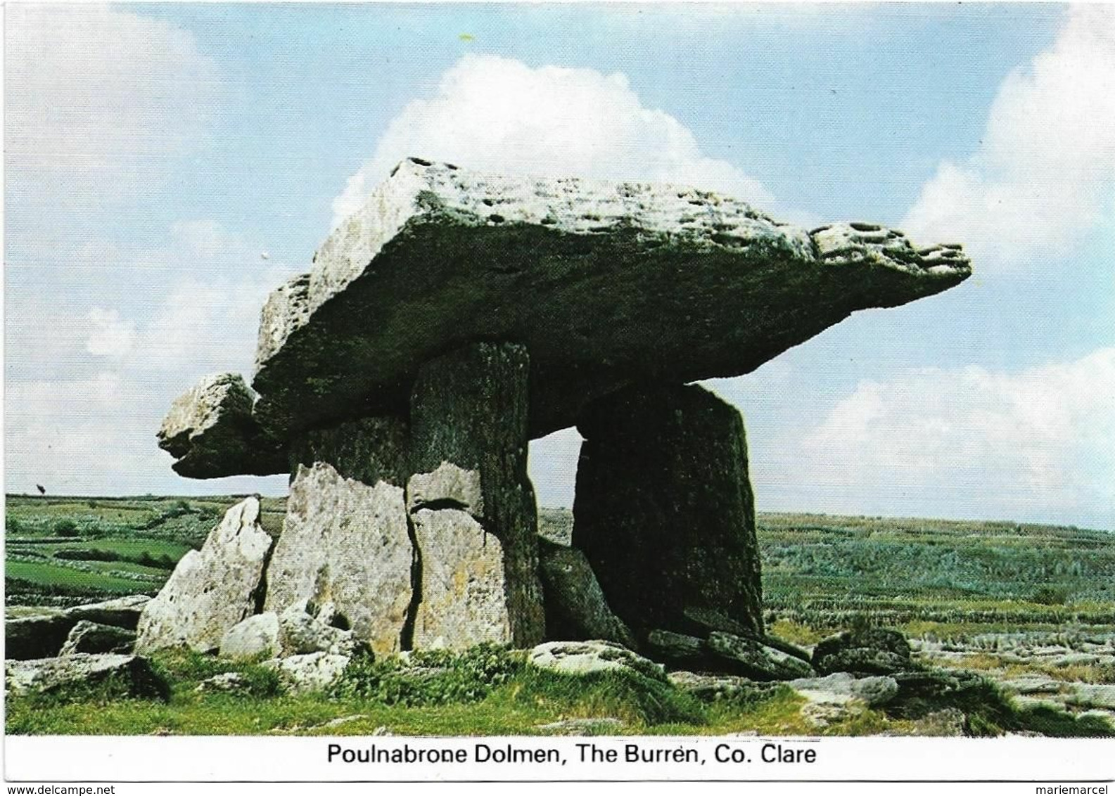 IRLANDE - POULNABRONE DOLMEN - THE BURREN - CO. CLARE - CPM Grand Format - Clare