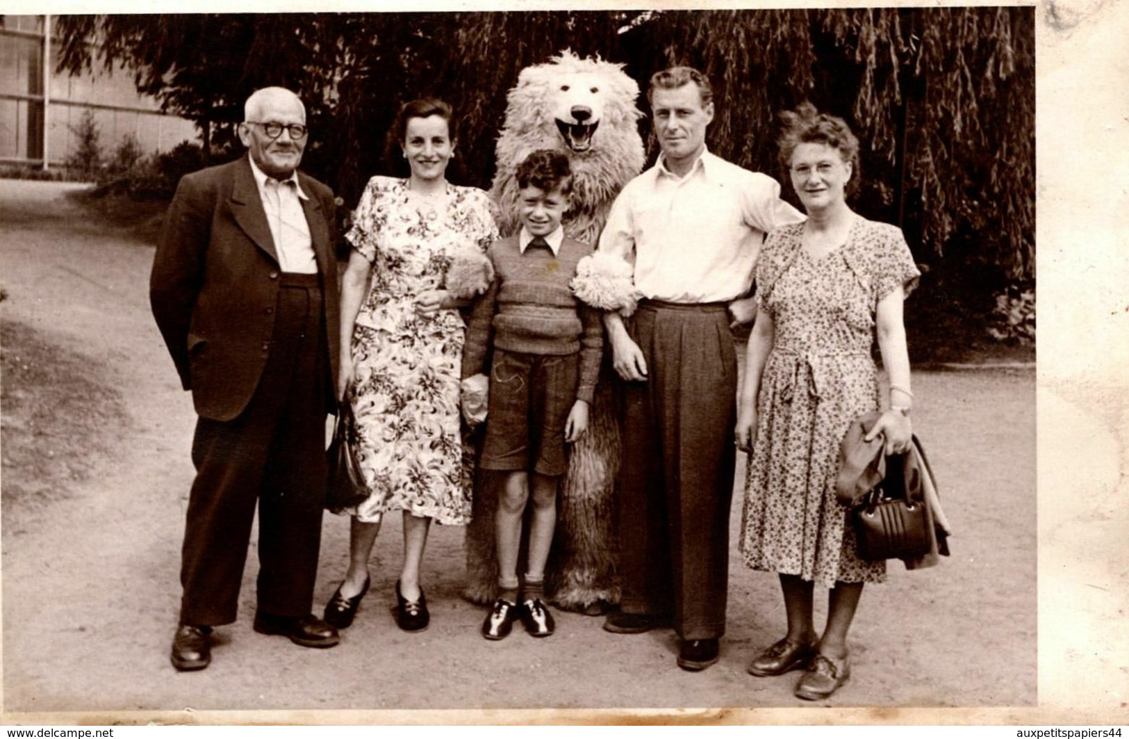 AK - CPA Originale Déguisement Ours Polaire & Eisbär En Famille Au Parc Vers 1950 - Anonyme Personen