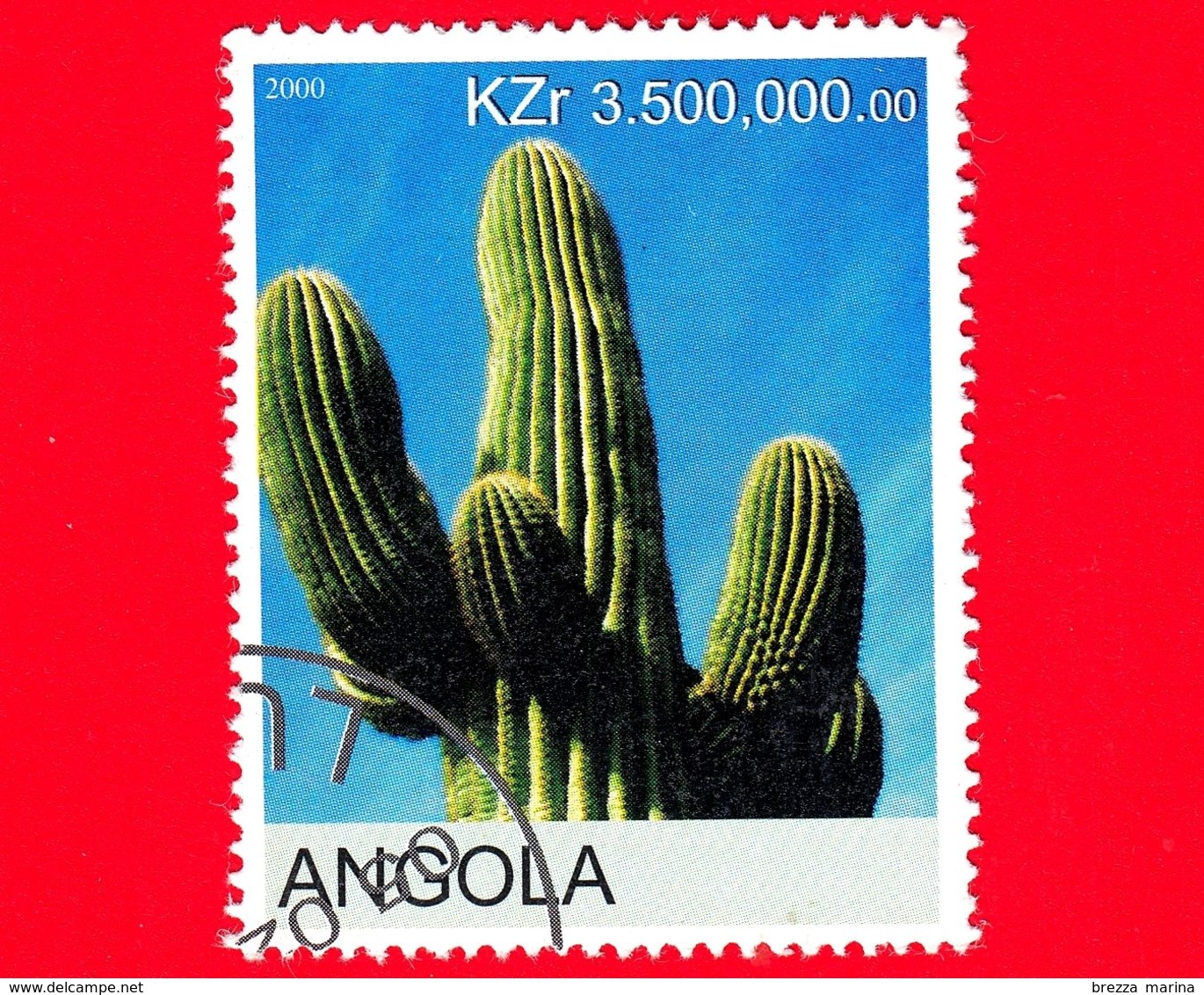 ANGOLA - Nuovo Oblit. - 2000 - Piante - Cactus - 3.500.000,00 - Angola