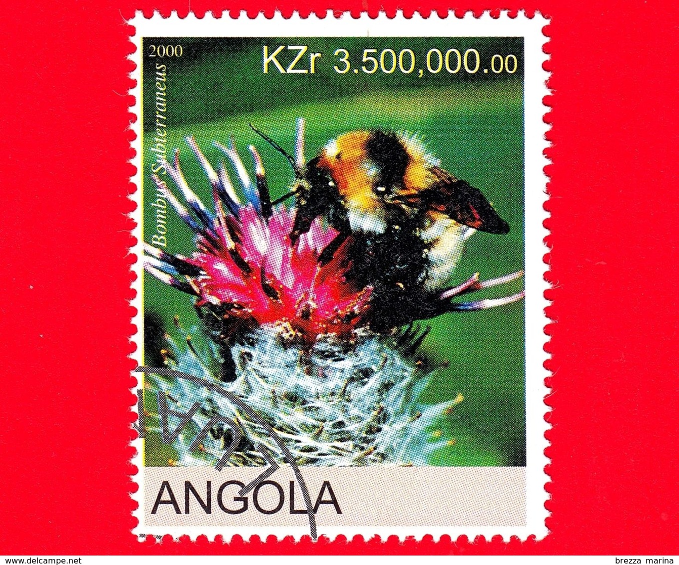 ANGOLA - Nuovo Oblit. - 2000 - Api - Bees - Bombus Subterraneus - 3.500.000,00 - Angola