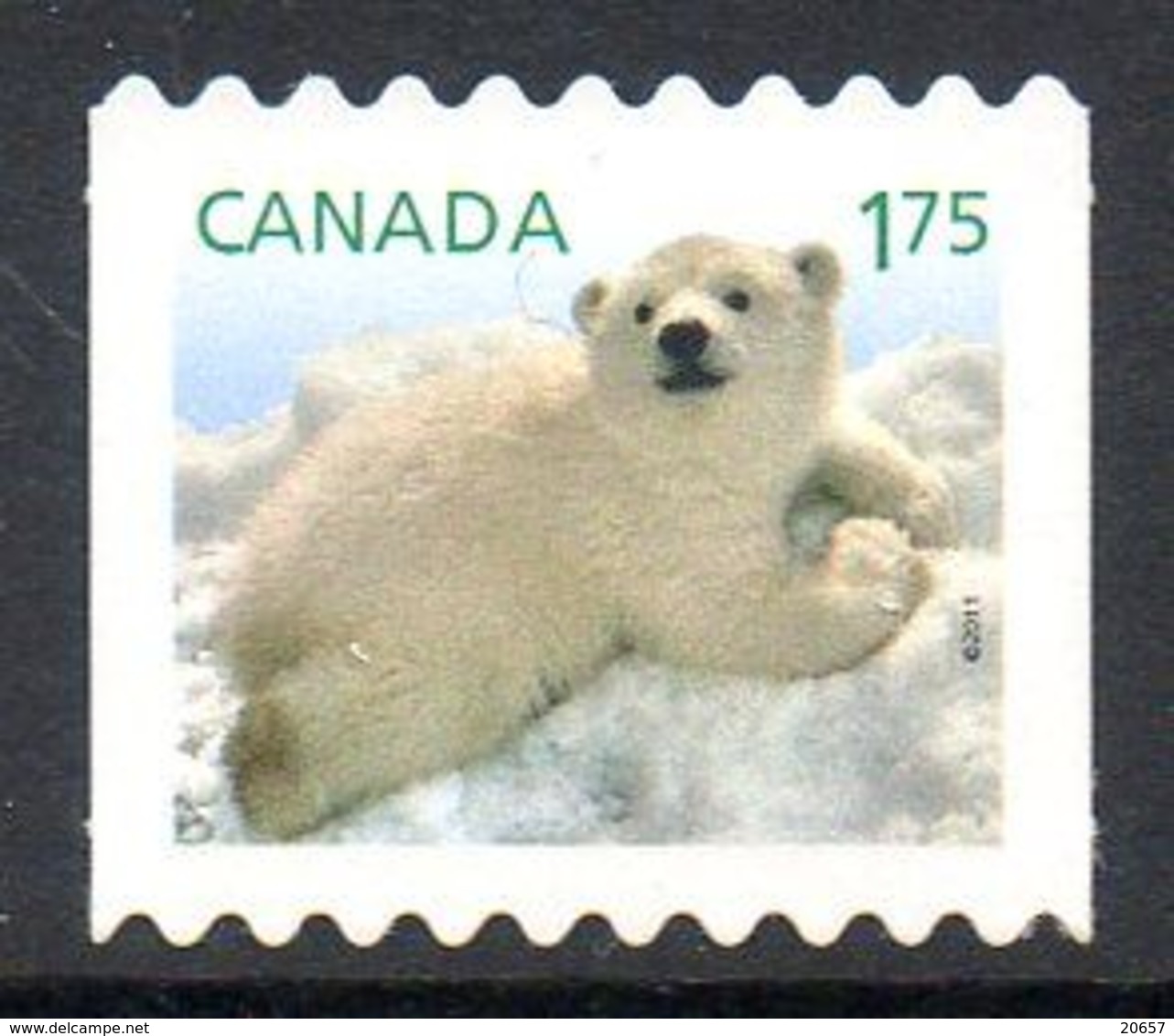 CANADA 2573 Faune Pôle Nord, Ours Polaire - Arctic Wildlife