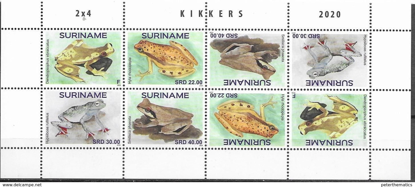 SURINAME, 2020, MNH, FROGS, SHEETLET OF 2 SETS - Frogs