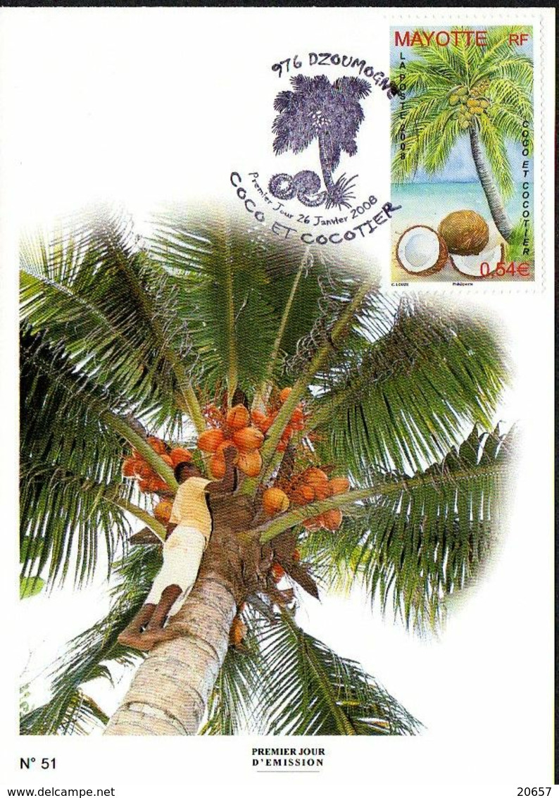 MAYOTTE 0209 Fdc Cocotier - Frutta