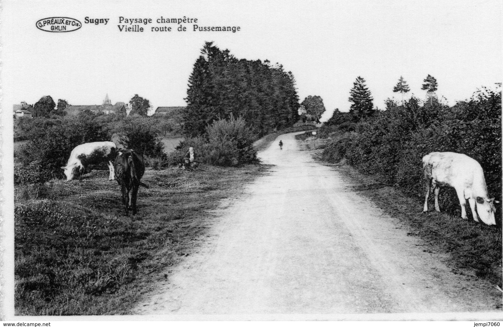 SUGNY : Paysage Champêtre, Vieille Route De Pussemange (photo Véritable) - Vresse-sur-Semois