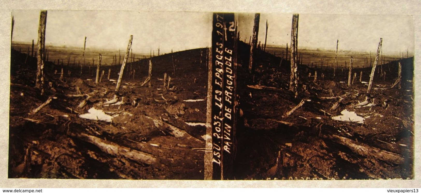 Belle collection 49 photos plaques de verre stéréo LSU Guerre 1914 1918 - 10,5x4,5 cm - tranchées cadavres Eparges &c