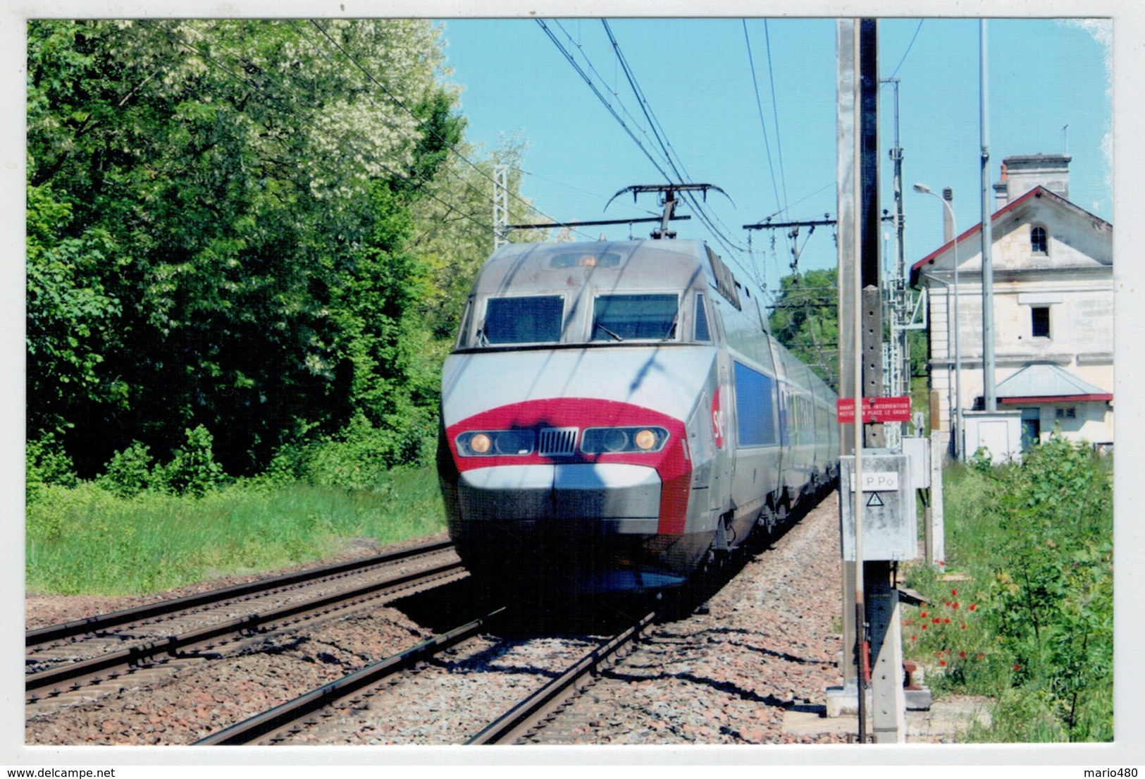 C.P. PICCOLA FRANCIA  MOUTHIERS  SUR BOEME  TREIN- ZUG- TRAIN- TRENI- GARE- BAHNHOF- STATION- STAZIONI   2 SCAN  (NUOVA) - Eisenbahnen