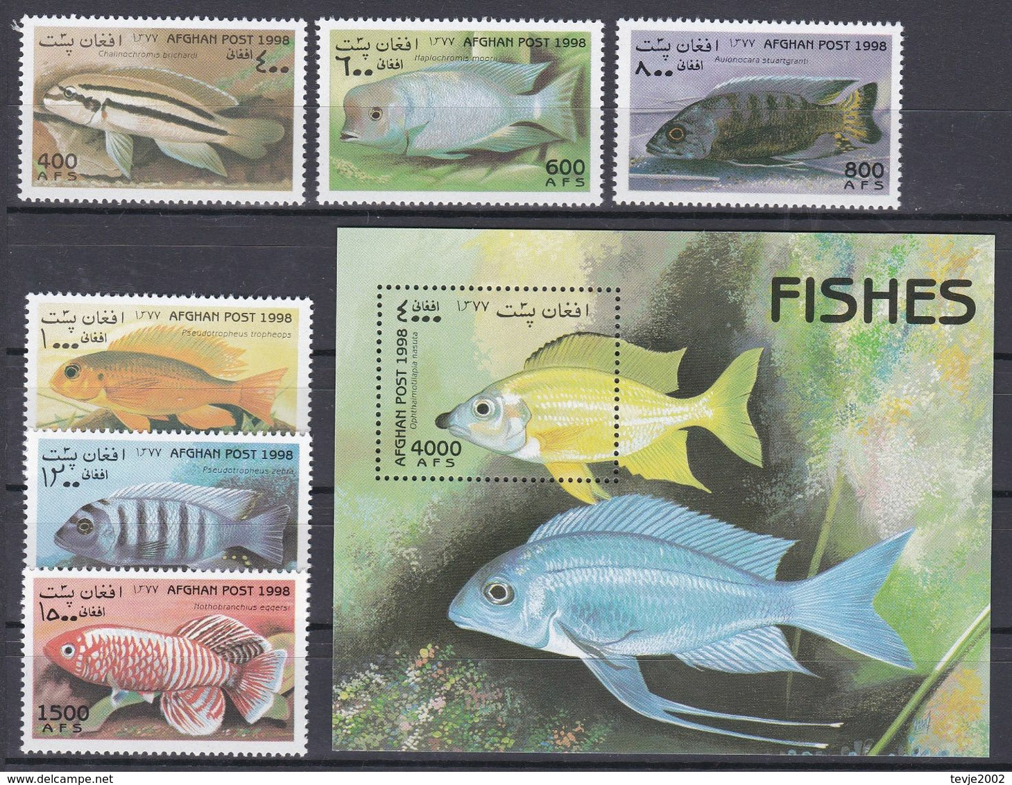 Tr_ Afghanistan 1998 - Mi.Nr. 1805 - 1811 + Block 104 - Postfrisch MNH - Tiere Animals Fische Fishes - Fische