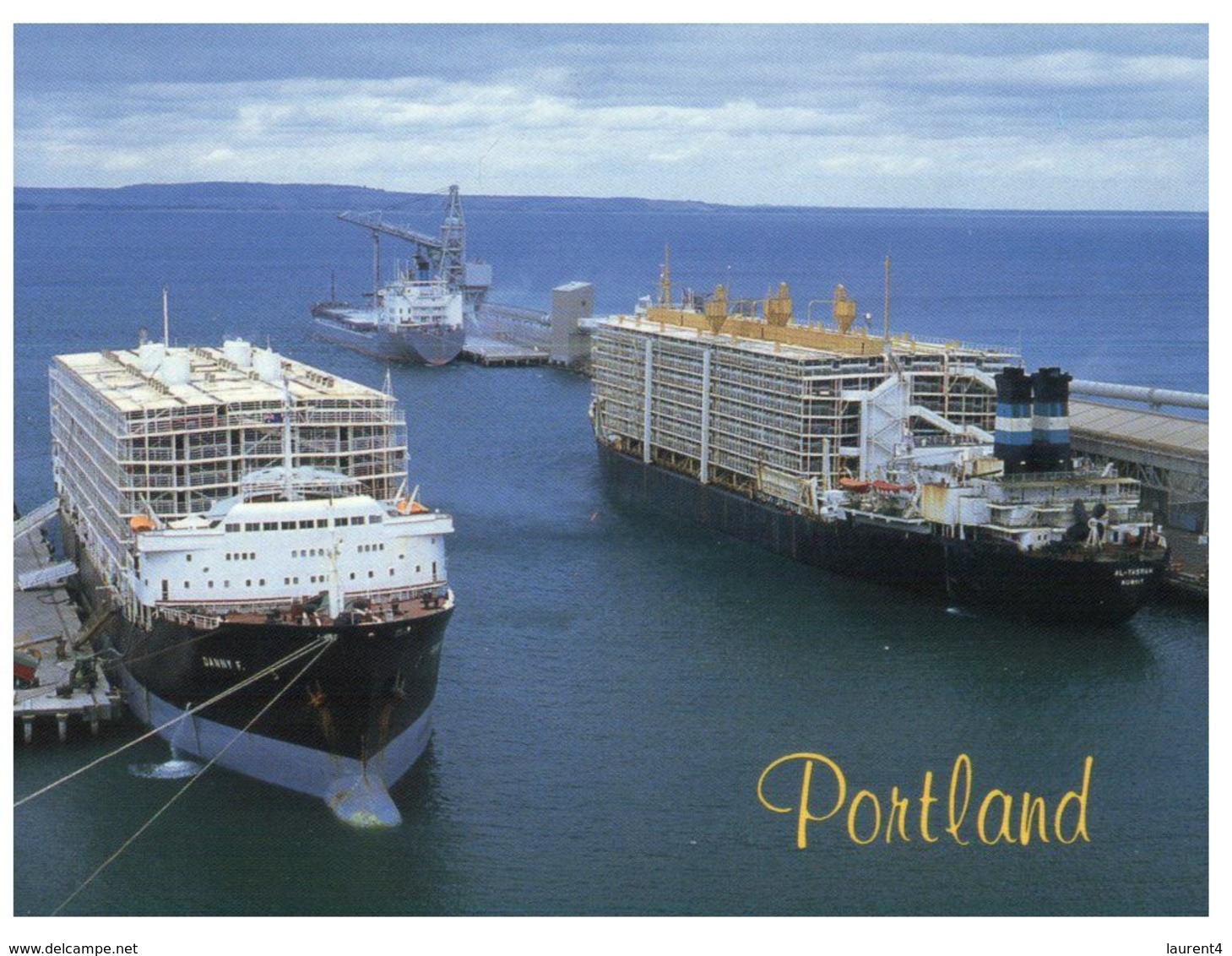 (H 9) Sheep Transport Ship In Portland - Commercio