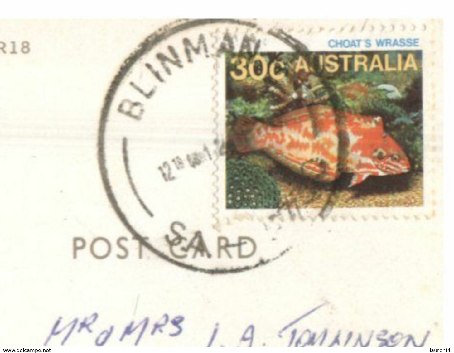 (H 10) Australia - SA - Flinders Range (with Stamp) Gum Trees - Flinders Ranges