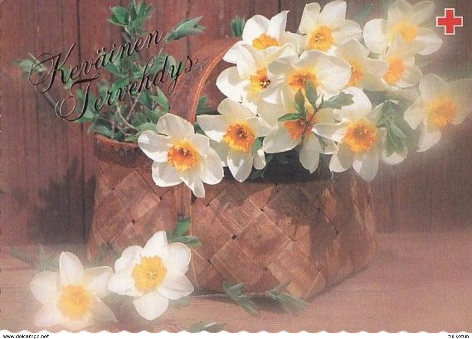 Postal Stationery - Easter Flowers - Daffodils In The Basket - Red Cross 1997 - Suomi Finland - Postage Paid - Postal Stationery