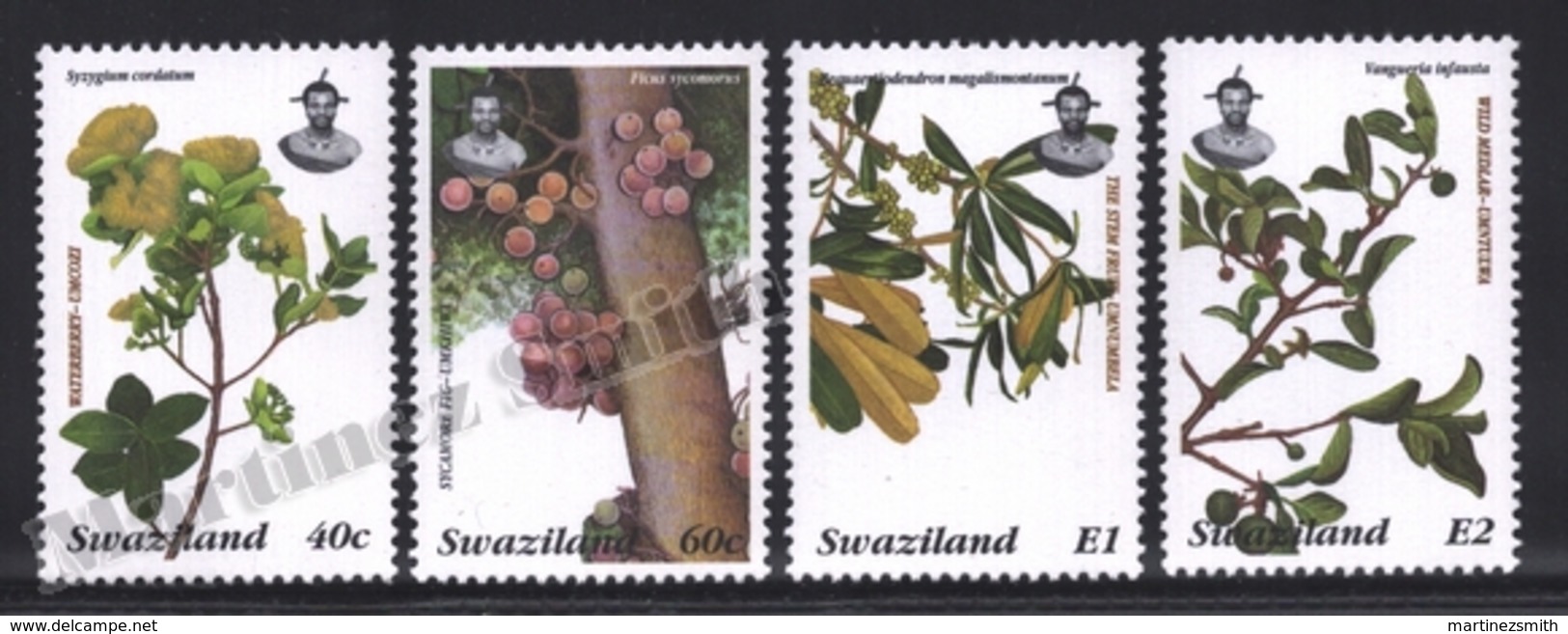 Swaziland 1996 Yvert 654-57, Flora. Trees & Fruits. Waterberry, Sycamore Fig, Stamvrug & Medlar - MNH - Swaziland (1968-...)