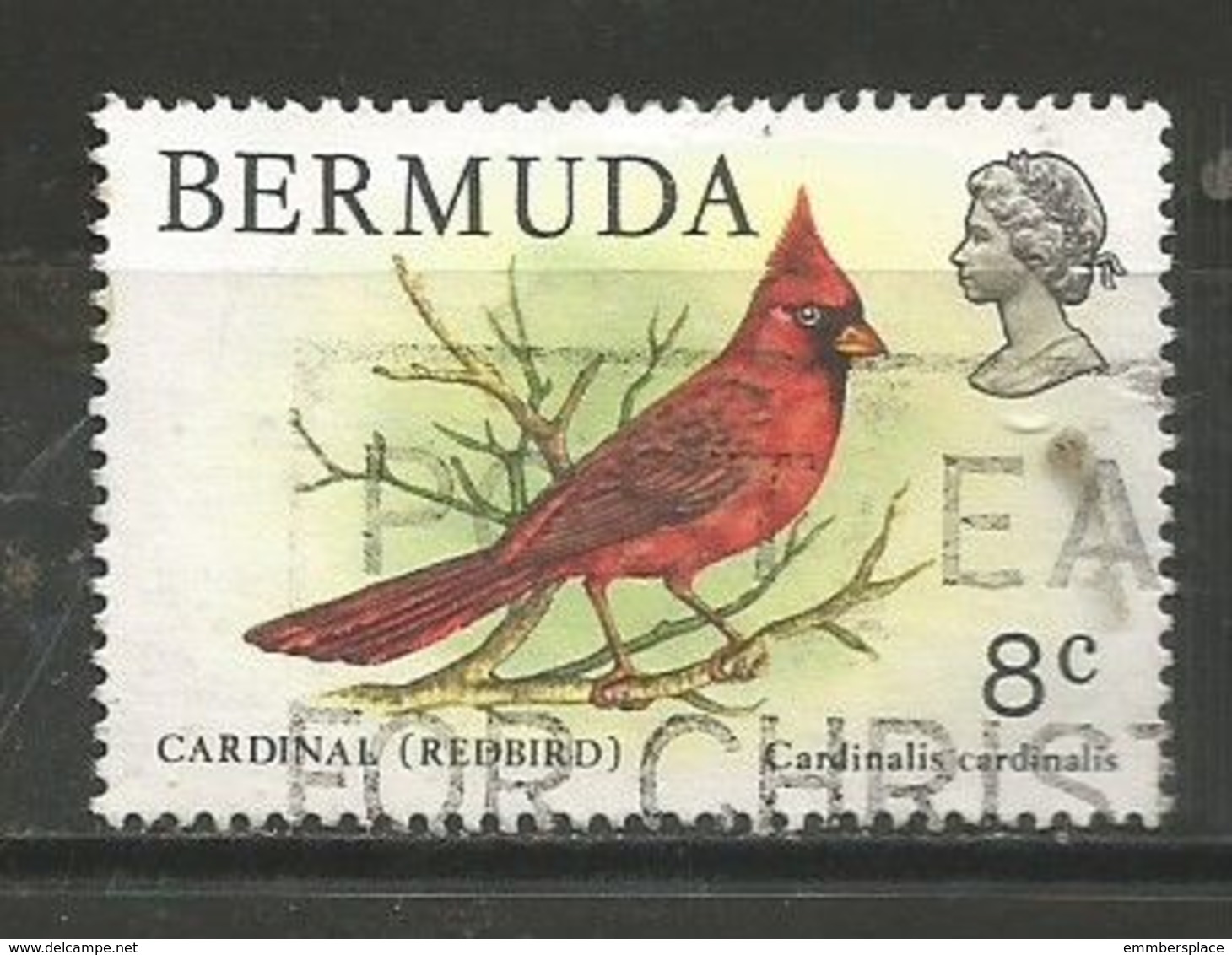 Bermuda - 1978  Northern Cardinal 8c Used  SG 391 - Bermuda