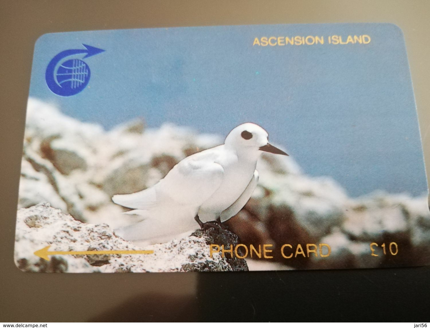 ASCENSION ISLAND   10 Pound Bird Stern  1CASC   MINT Old  Logo C&W **2949** - Ascension